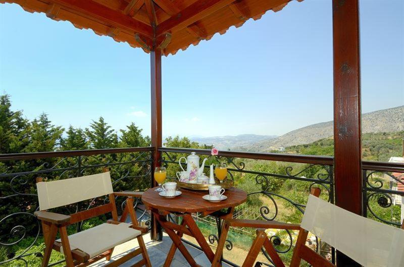 Iatrou Guesthouse Портариа Стая снимка