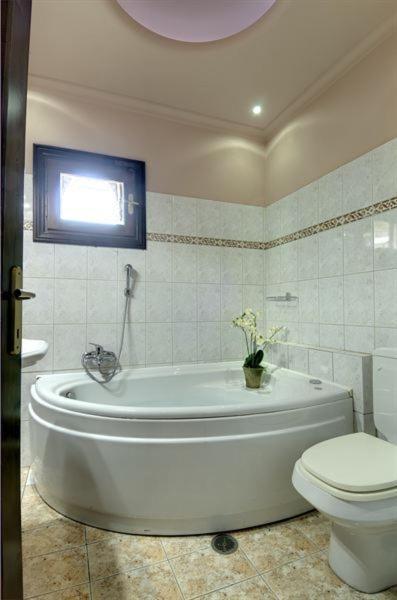 Iatrou Guesthouse Портариа Стая снимка