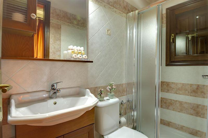Iatrou Guesthouse Портариа Стая снимка